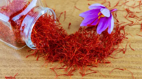 تصویر 2 از زعفران نیم گرمی انتخابی اقتصادی و با کیفیت بالا